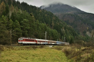 Zobrazi� cel� fotku