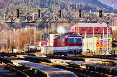 Zobrazi� cel� fotku