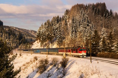 Zobrazi� cel� fotku