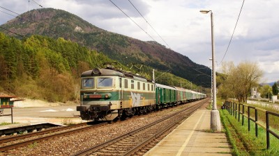 Zobrazi� cel� fotku