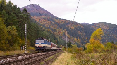 Zobrazi� cel� fotku