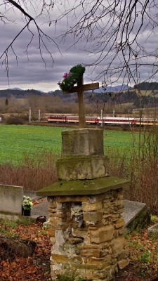 Zobrazi� cel� fotku