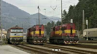 Zobrazi� cel� fotku
