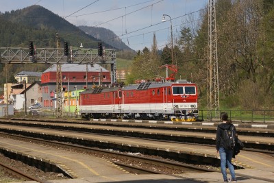 Zobrazi� cel� fotku