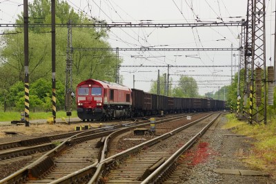 Zobrazi� cel� fotku
