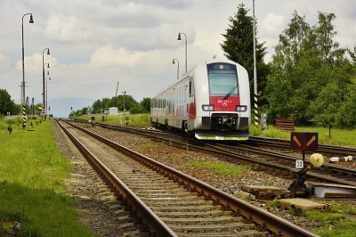 Zobrazi� cel� fotku