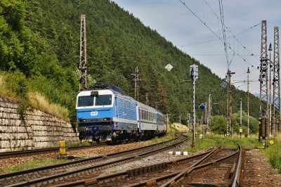 Zobrazi� cel� fotku