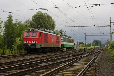 Zobrazi� cel� fotku