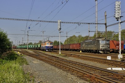 Zobrazi� cel� fotku