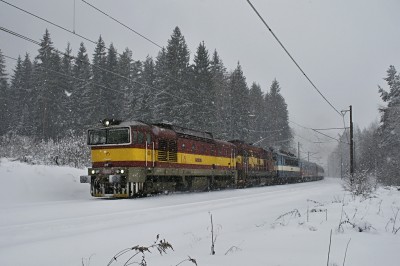 Zobrazi� cel� fotku