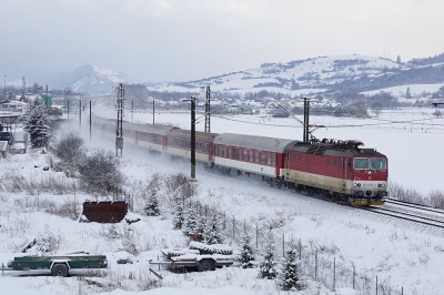 Zobrazi� cel� fotku