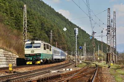 Zobrazi� cel� fotku