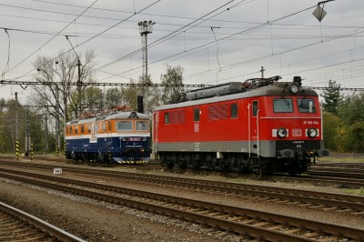 Zobrazi� cel� fotku