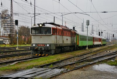 Zobrazi� cel� fotku