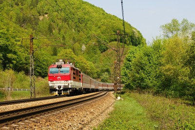 Zobrazi� cel� fotku