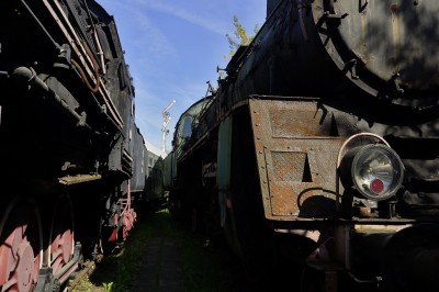 Zobrazi� cel� fotku