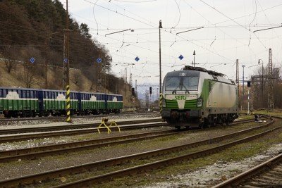 Zobrazi� cel� fotku