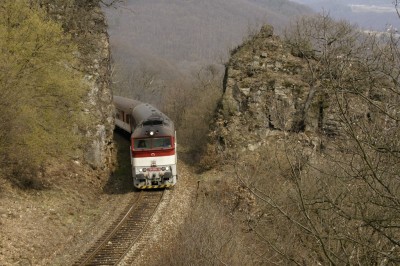 Zobrazi� cel� fotku