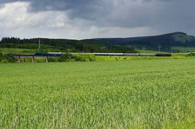 Zobrazi� cel� fotku