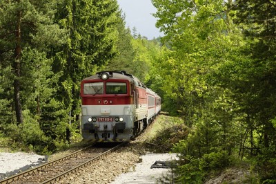 Zobrazi� cel� fotku