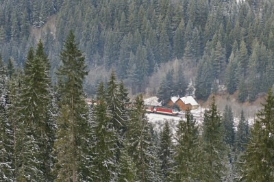 Zobrazi� cel� fotku