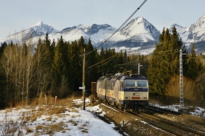 Zobrazi� cel� fotku