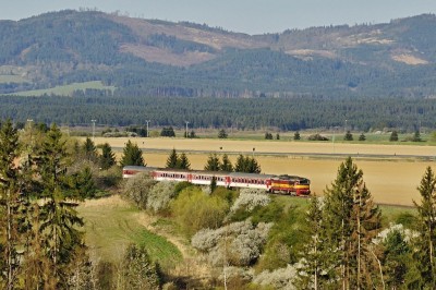 Zobrazi� cel� fotku