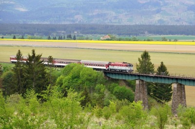 Zobrazi� cel� fotku