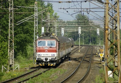 Zobrazi� cel� fotku