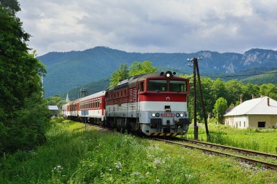 Zobrazi� cel� fotku