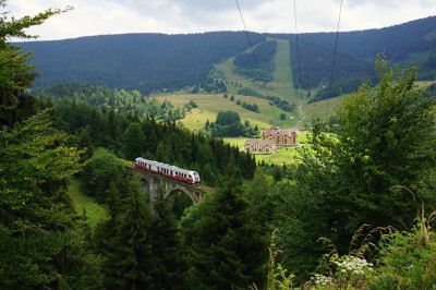 Zobrazi� cel� fotku