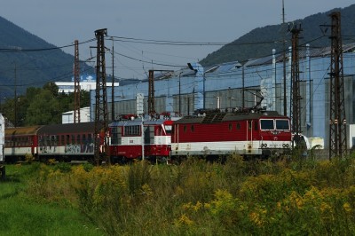 Zobrazi� cel� fotku