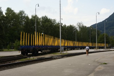 Zobrazi� cel� fotku