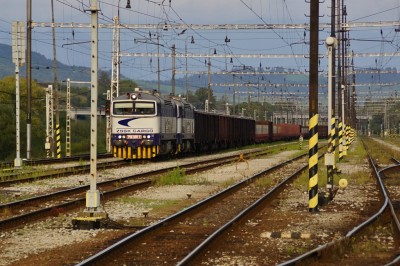 Zobrazi� cel� fotku