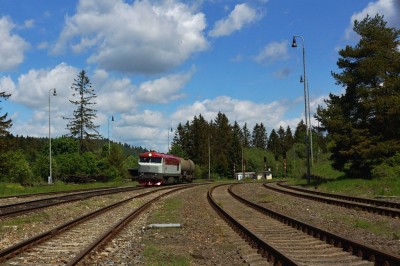 Zobrazi� cel� fotku
