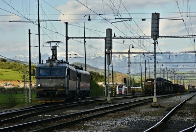 Zobrazi� cel� fotku