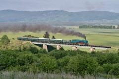 486 007|cernovec|2&nbsp;zobrazen�|02.06.2026