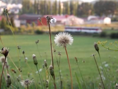 Zobrazi� cel� fotku