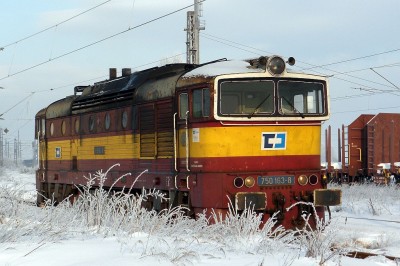 Zobrazi� cel� fotku