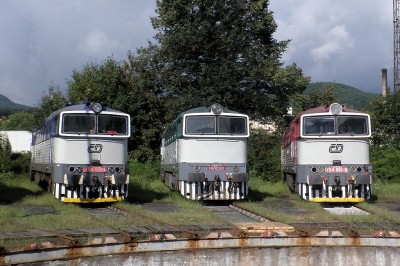 Zobrazi� cel� fotku