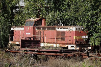 Zobrazi� cel� fotku