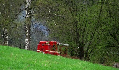 Zobrazi� cel� fotku