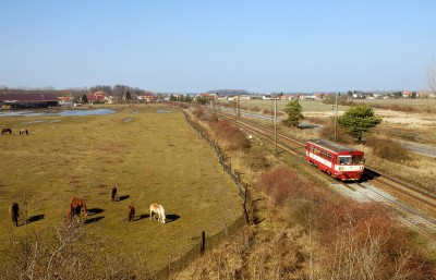 Zobrazi� cel� fotku