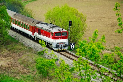 Zobrazi� cel� fotku