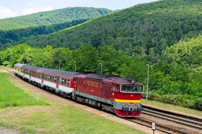 Zobrazi� cel� fotku