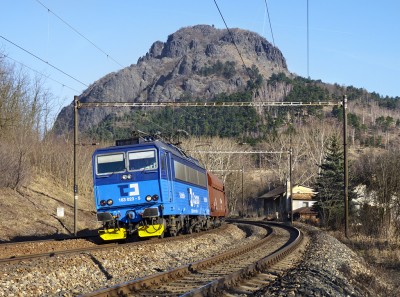 Zobrazi� cel� fotku