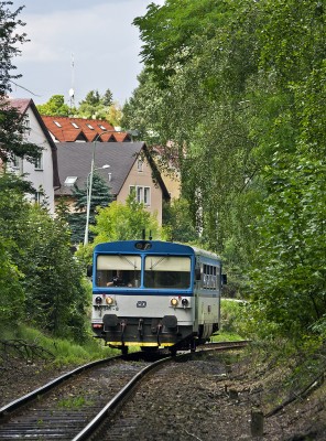 Zobrazi� cel� fotku