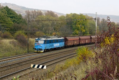 Zobrazi� cel� fotku