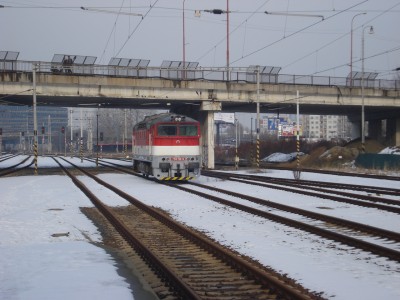 Zobrazi� cel� fotku