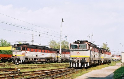 Zobrazi� cel� fotku